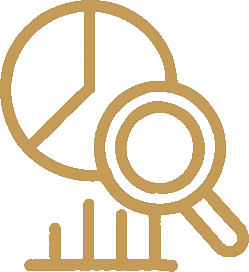 analyze icon